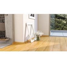 Heller Raum mit Holzboden, Zierleiste und Dekoration