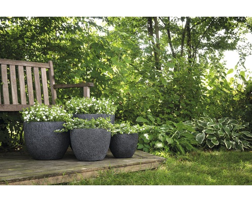 Scène de jardin avec des fleurs dans des jardinières sur une terrasse en bois sous un arbre