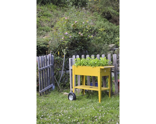 Table de plantation jaune mobile avec des plantes dans le jardin.