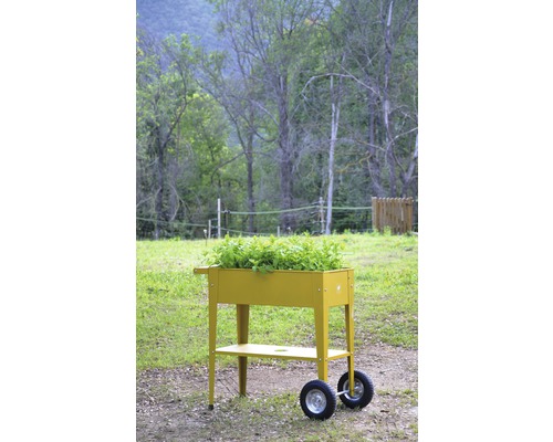 Jardinière surélevée sur roues avec plantation dans le jardin