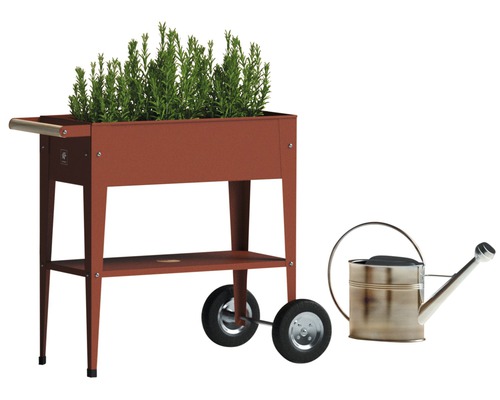 Jardinière surélevée avec roues, étagère et plantes à côté d''un arrosoir