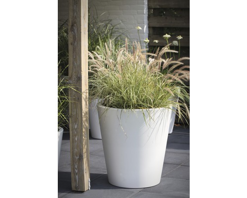 Szene mit einem weißen Pflanzkübel mit Ziergras im Garten.
