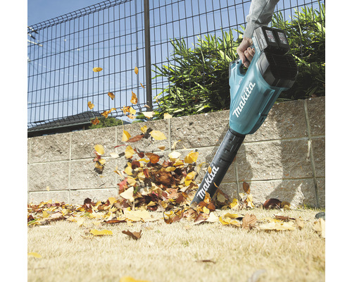 Une personne utilise un souffleur de feuilles sans fil Makita pour enlever les feuilles sur une pelouse.