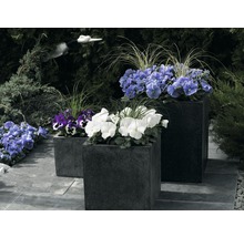 Drei bepflanzte, dunkle Pflanzkästen im Garten.