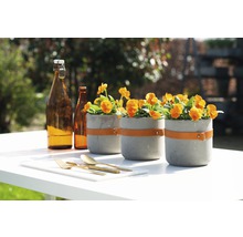 Arrangement mit Beton Pflanzgefäßen, Getränkeflaschen und goldenem Besteck auf einem Tisch im Freien.