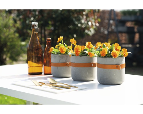 Arrangement mit Beton Pflanzgefäßen, Getränkeflaschen und goldenem Besteck auf einem Tisch im Freien.