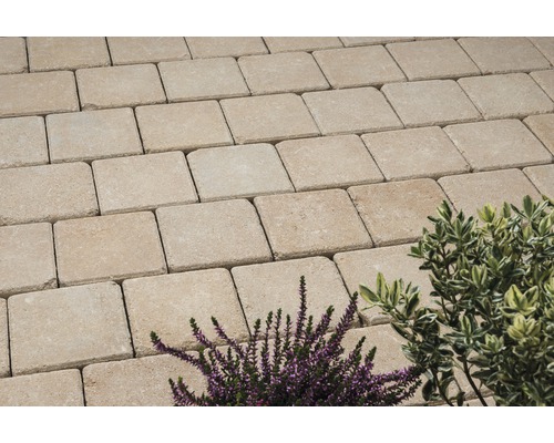 Pavés en béton posés avec des plantes