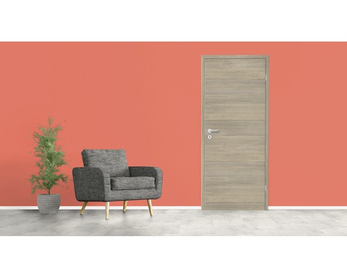 Séjour avec porte, fauteuil et plante en pot