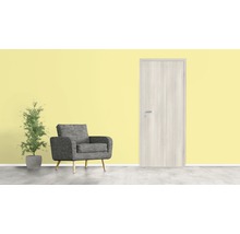 Aménagement de pièce avec porte, fauteuil et plante d''intérieur