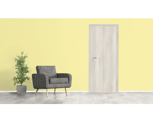 Aménagement de pièce avec porte, fauteuil et plante d''intérieur