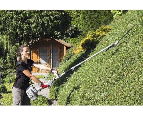 Frau schneidet Hecke mit einer Heckenschere mit Stiel