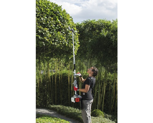 Frau schneidet Baum mit Hochentaster im Garten.