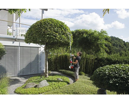 Frau schneidet Baum mit einer Akku-Hochentaster im Garten.