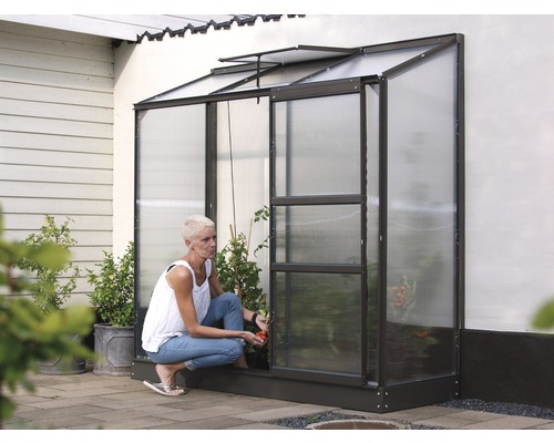 Anlehngewächshaus Vitavia Ida 1300 Hohlkammerplatten 4 mm 69x193 cm schwarz Frau erntet Tomaten in einem Gewächshaus aus Polycarbonat, das an einer Hauswand steht.