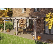 Toiture pour terrasse SKAN HOLZ Rimini, 648x300 cm sapin de Douglas