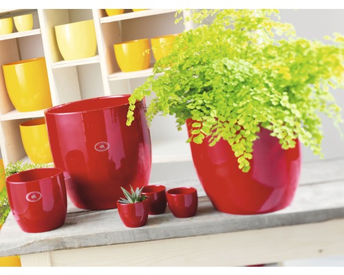 Pots de fleurs en céramique de différentes tailles dans une scène avec des plantes