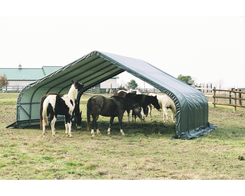 Abri pour chevaux avec plusieurs chevaux dans un pré