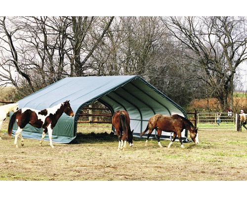 Abri pour chevaux à l''extérieur avec plusieurs chevaux
