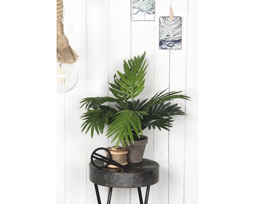 Scène décorative avec une plante d''intérieur, une bobine de fil et des ciseaux sur une table