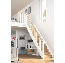 Escalier à limon latéral escalier de meunier Pertura Elenie hêtre bois lamellé-collé avec contremarches droit 14 marches / 15 pas de marche garde-corps à barres verticales