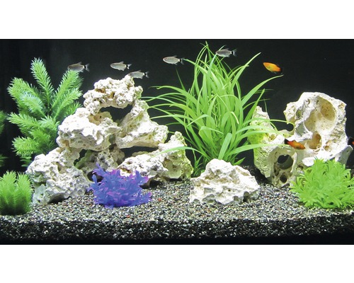Aquarium décoratif avec poissons, plantes et pierres