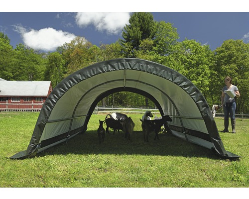 Abri portable pour animaux dans un pré avec des chèvres et une personne