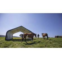 Pferdeunterstand mit zwei Pferden auf einer Wiese