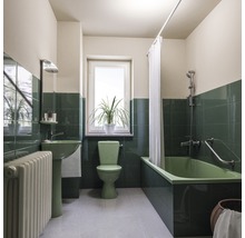 Salle de bain avec baignoire, lavabo, toilettes, radiateur, fenêtre et plantes