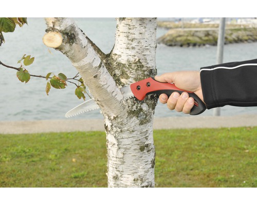 Person sägt Ast mit einer Handsäge ab