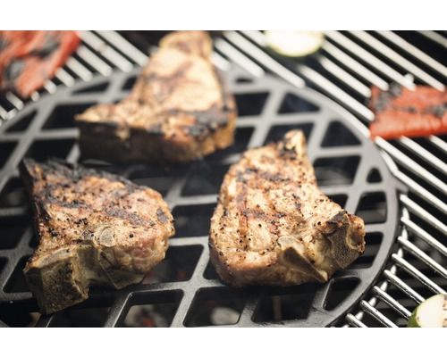 Fleisch und Gemüse auf einem Grill