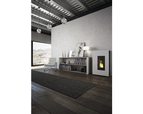 Salon avec poêle à granulés, étagère, fauteuil et tapis sur parquet