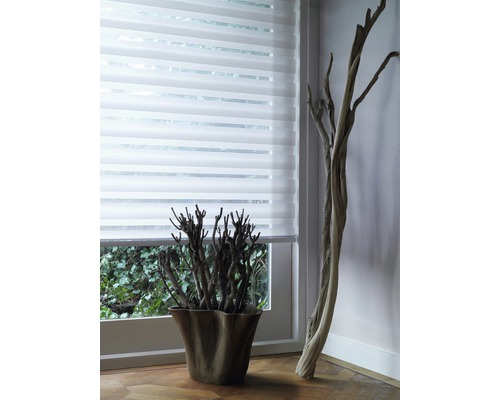 Fenster mit Doppelrollo und Dekoration
