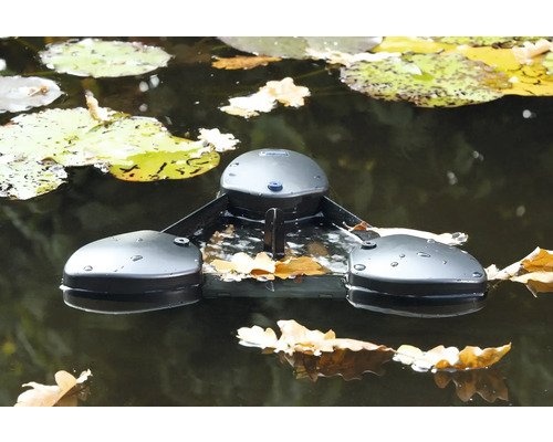 Skimmer de bassin de baignade sur l''eau avec des feuilles de nénuphar et des feuilles