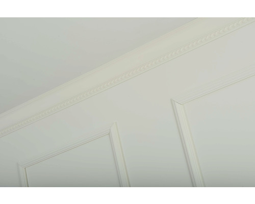 Vue détaillée d''un mur avec des moulures et des panneaux