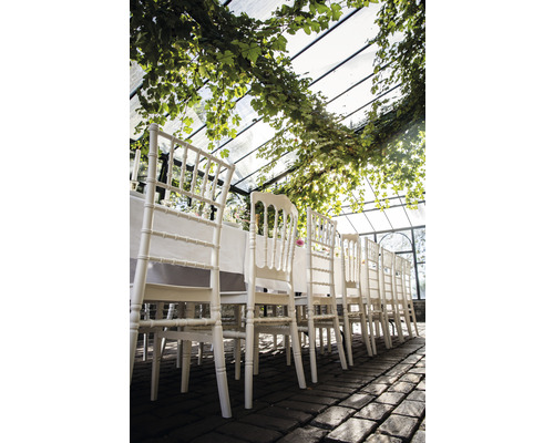 Table dressée pour une fête avec des chaises blanches dans un jardin d''hiver.