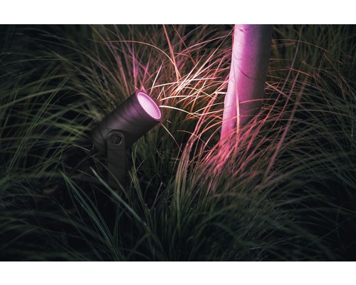 Projecteur de jardin dans l''herbe