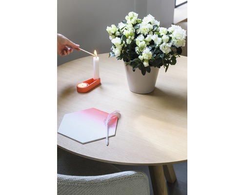 Table décorative avec azalées, bougeoir et plume pour une ambiance chaleureuse