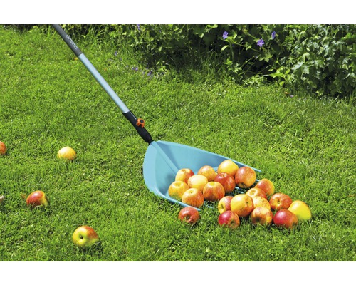 Apfelpflücker mit Äpfeln auf einer Rasenfläche