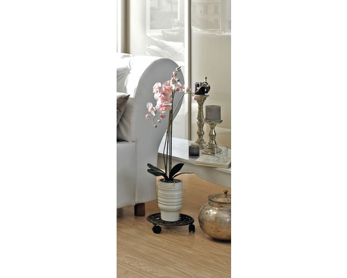 Orchidée décorative dans un salon sur roulettes pour plantes.