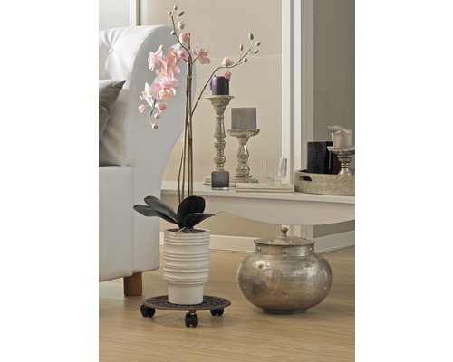 Décoration intérieure décorative avec plante, cache-pot, bougies et canapé