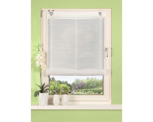 Fenêtre avec store, fleurs et décoration