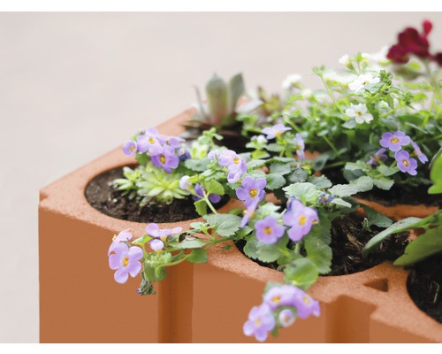 Blumenkasten aus Stein mit lila und weißen Blumen bepflanzt