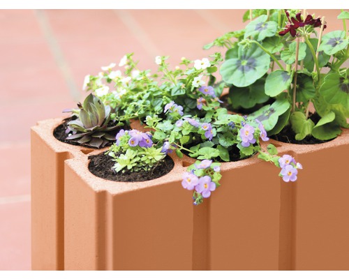 Blumenkasten aus Stein mit verschiedenen Pflanzen