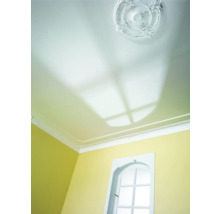 Decke mit Stuckrosette und Zierleisten in einem Raum