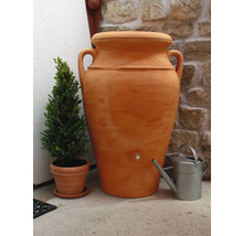 Amphore de stockage d''eau couleur terre cuite avec robinet, à côté d''un arrosoir et d''un pot de buis