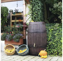 Récupérateur d''eau de pluie aspect bois avec raccord de descente pluviale et courges dans le jardin