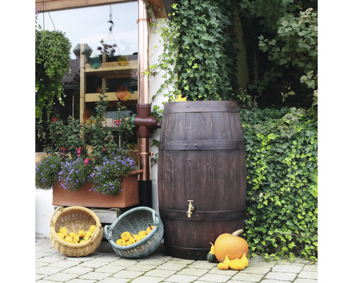 Récupérateur d''eau de pluie aspect bois avec raccord de descente pluviale et courges dans le jardin