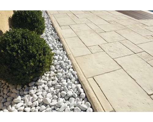 Allée de jardin avec gravier et buis