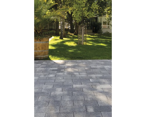 Chemin de jardin pavé avec pelouse et arbres