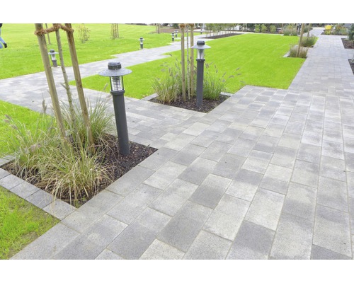 Chemin de jardin avec pavés en béton et éclairage extérieur